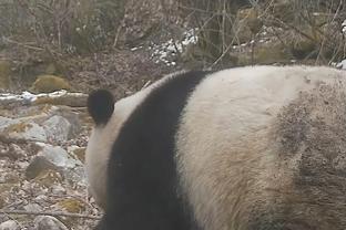 雷竞技苹果app下载